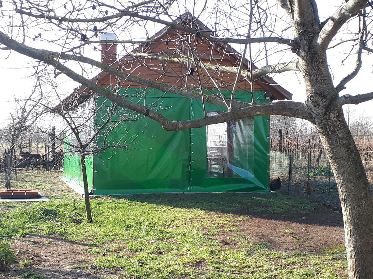 Gyula-tanya Vendégház Csongrád Exterior foto